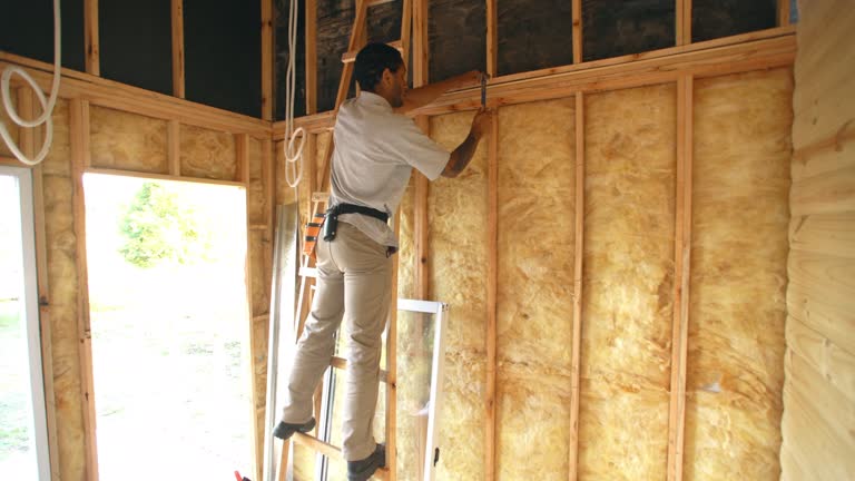 Eco-Friendly or Green Insulation Solutions in Horizon West, FL